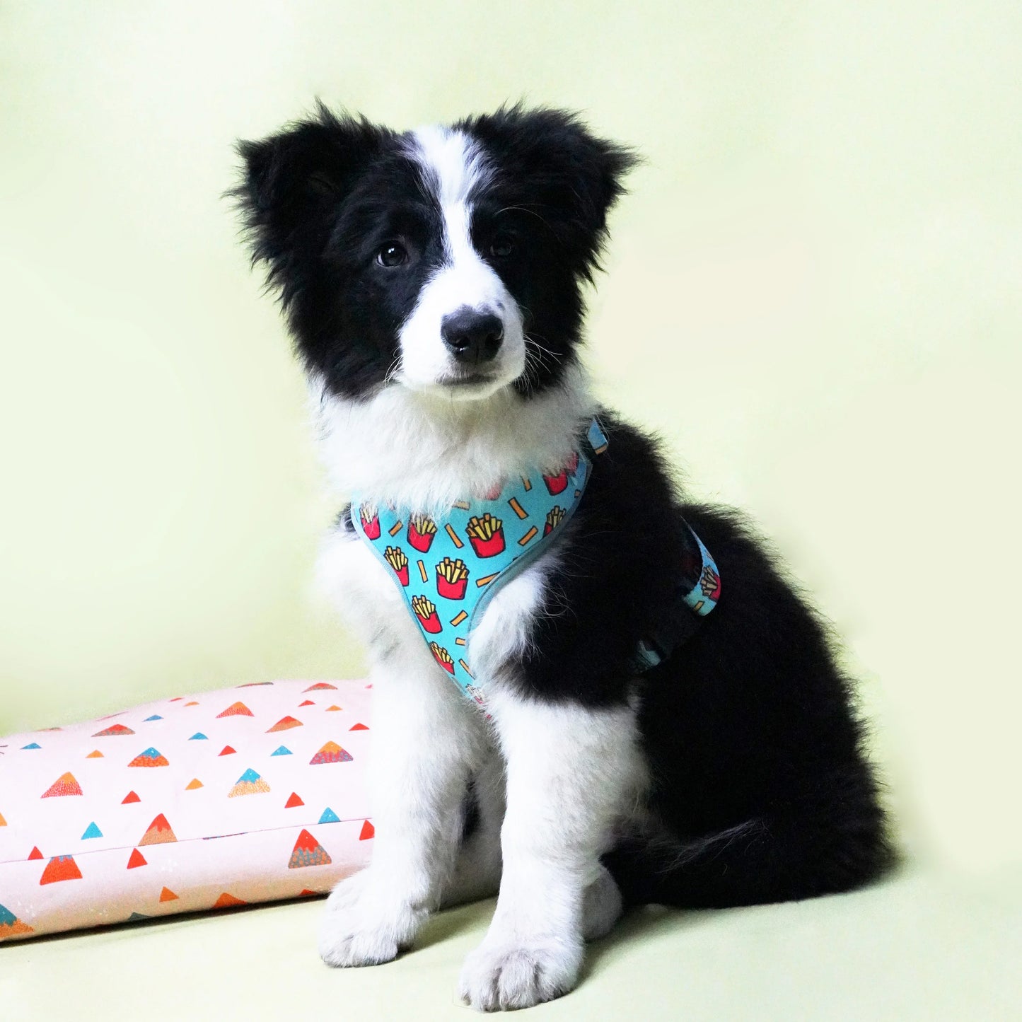Chips Dog Harness Set