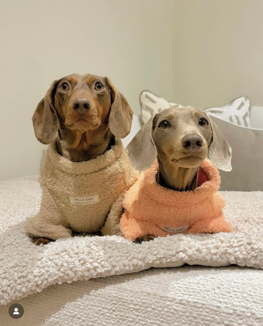 HELLO BABY Winter Dog Sweater