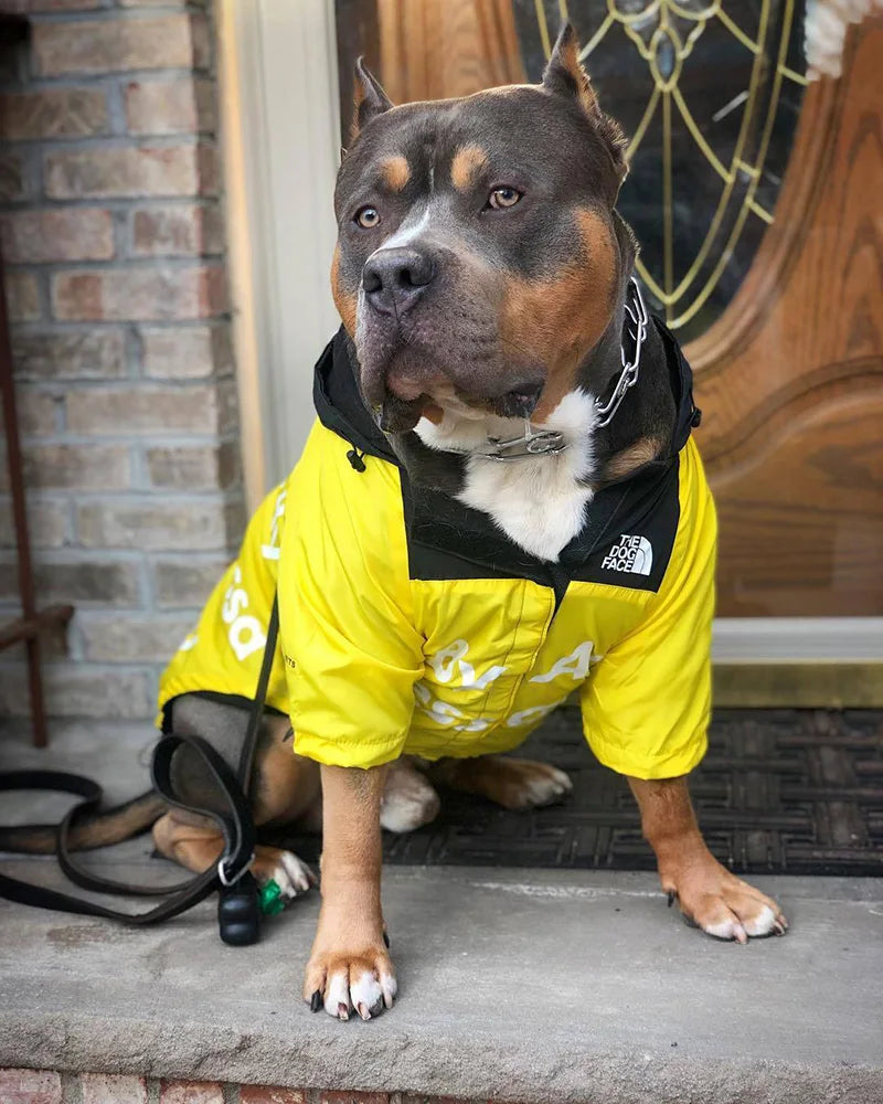 The Dog Face Jacket