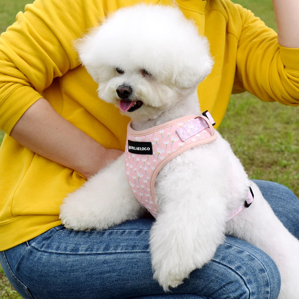 Dandelion Dog Harness Set
