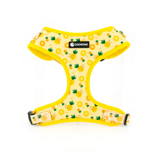 49778475893076|49778475925844|49778475958612|49778475991380