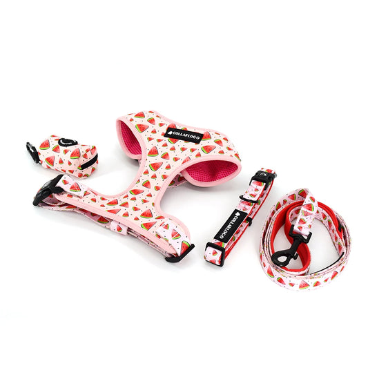Watermelon Harness Set