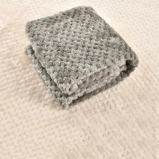 47983573598548|47983573795156|47983573827924