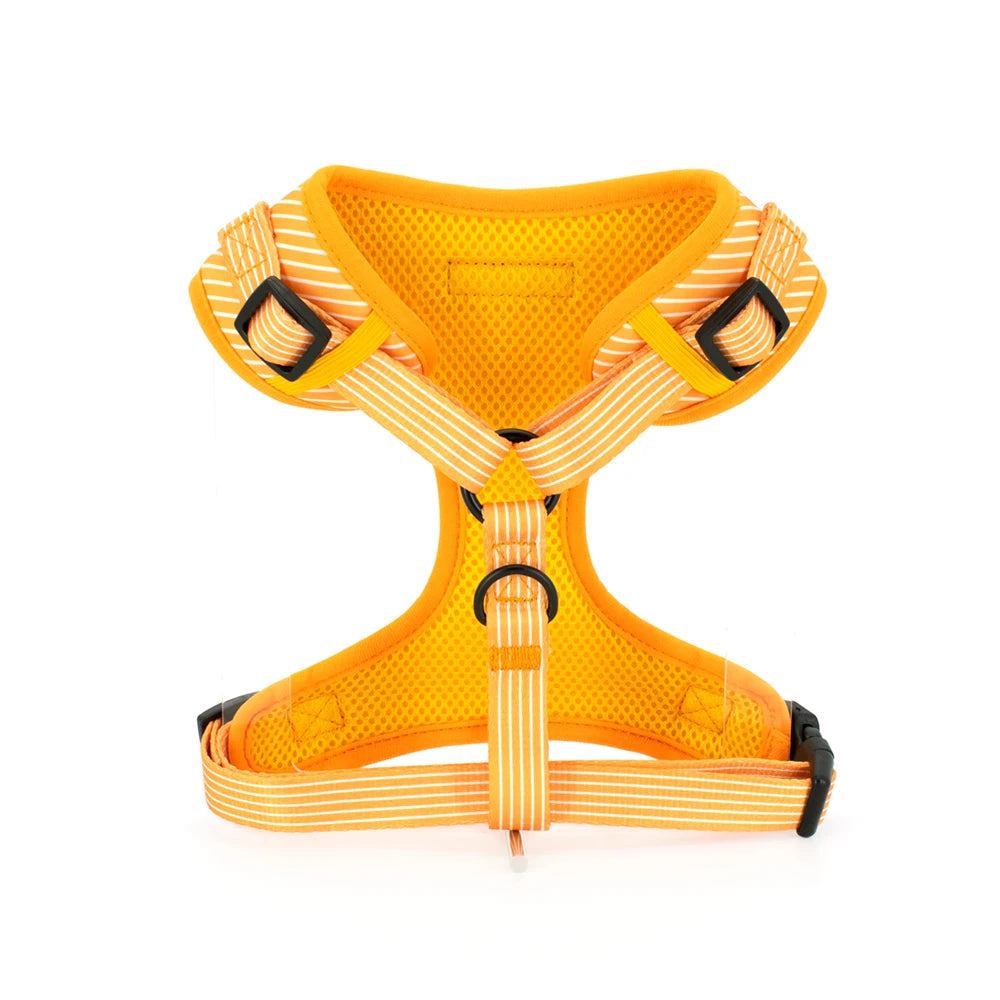 Yellow Striped Harness Set