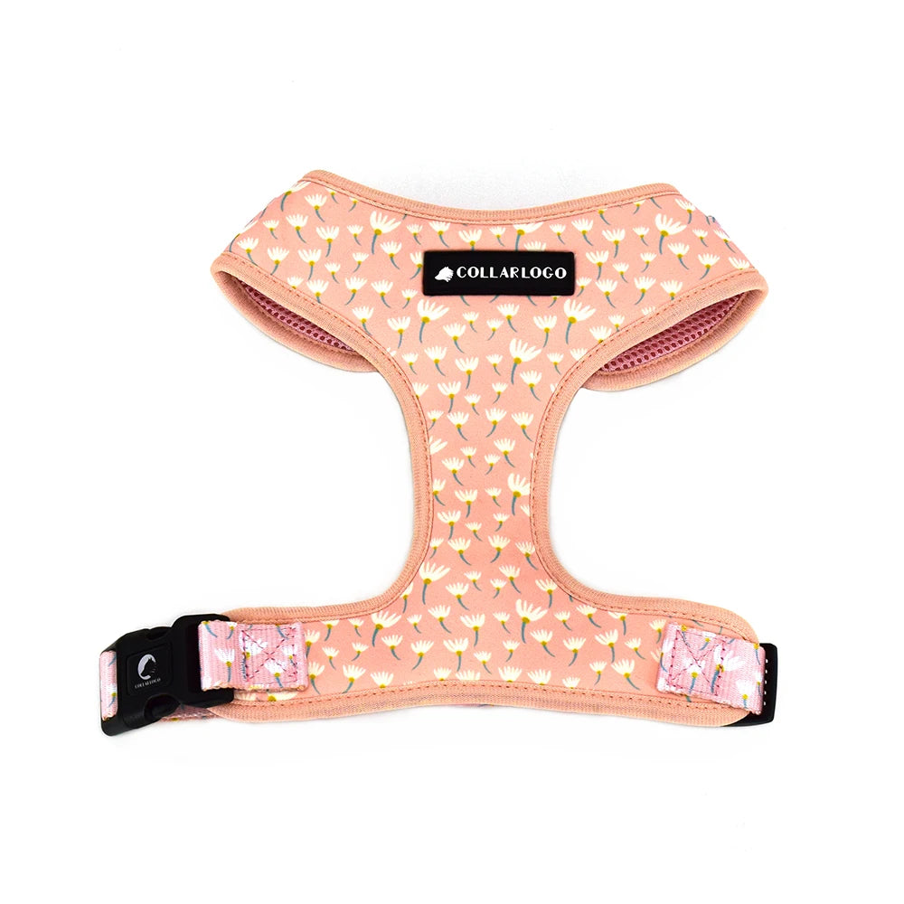 Dandelion Dog Harness Set