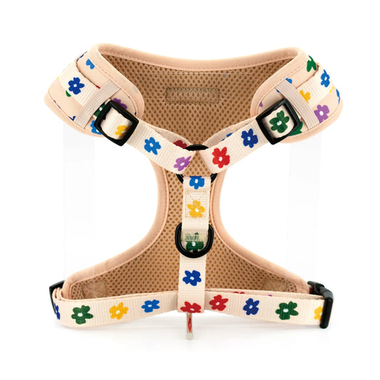 Multi Coloured Flower Harness Set