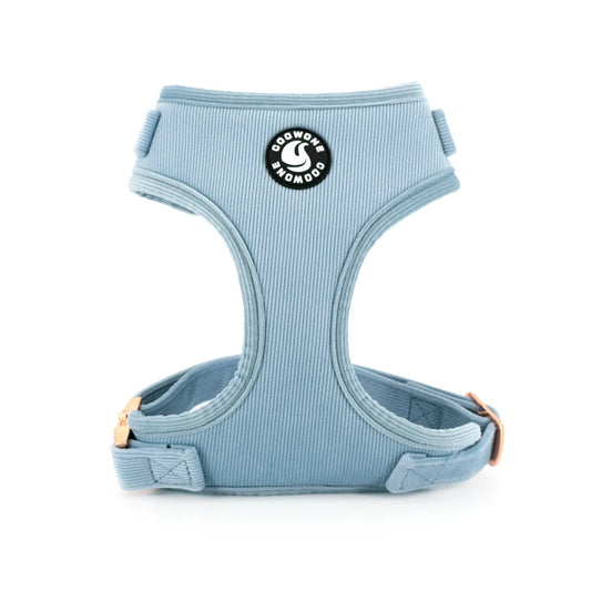 49212985999700|49212986065236|49212986163540|49212986196308