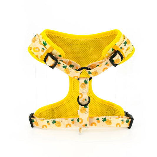 Pineapple Dog Harness Set