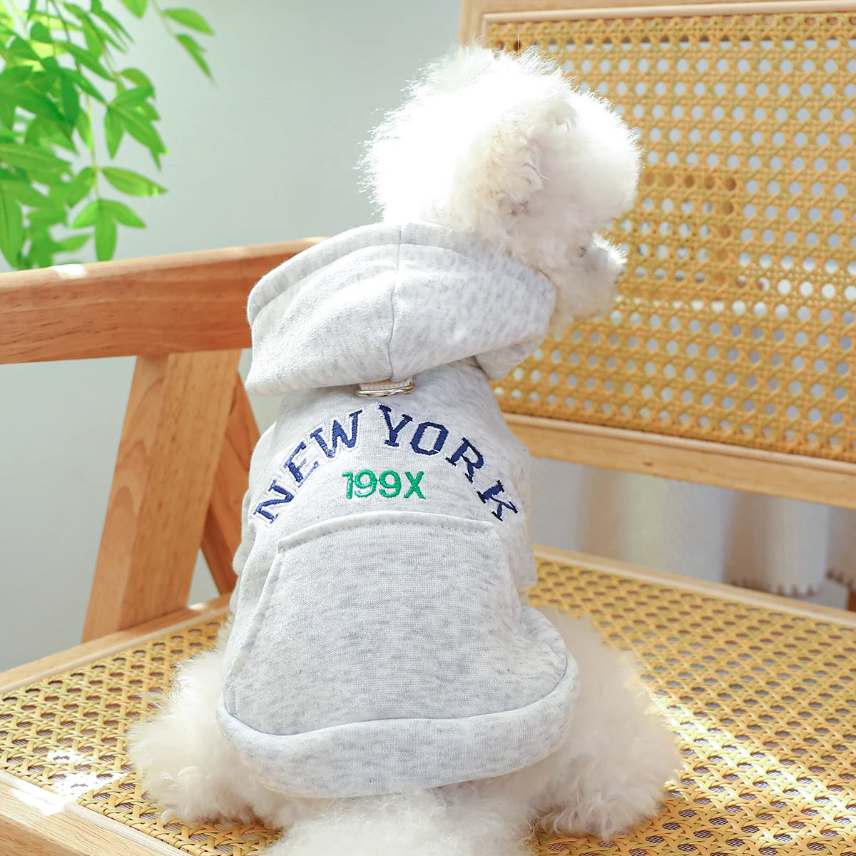 Dog New York Hoodie