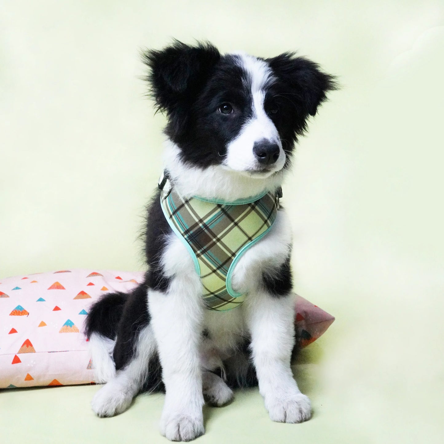 Green And Cream Plaid Harness Set