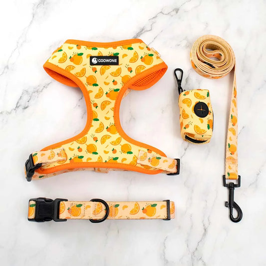 Fruity Orange Harness Set