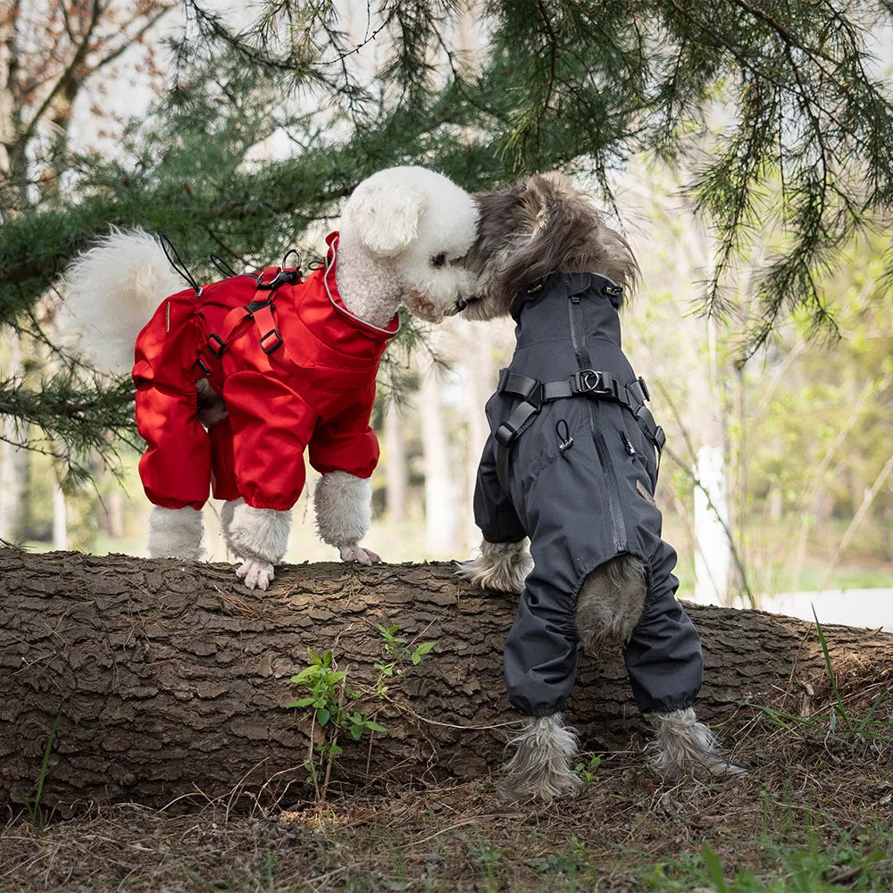 Dog Waterproof Reflective Raincoat