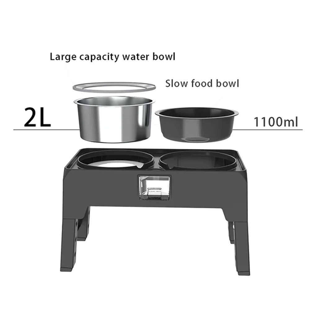 Elevated Slow Dog Bowls