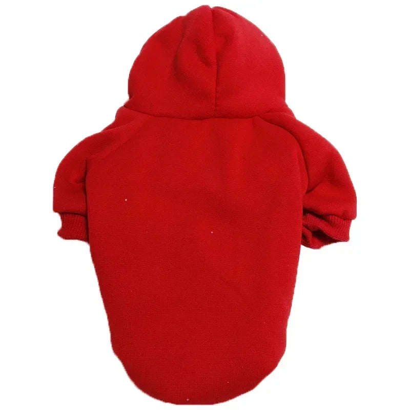 Big Dog Winter Hoodies