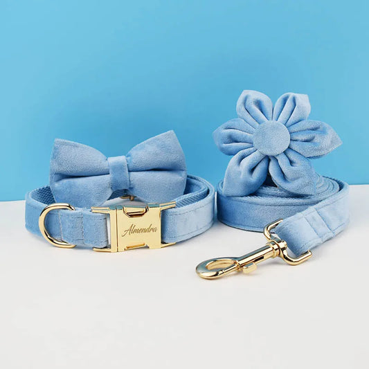 Blue Velvet Dog Collar Set
