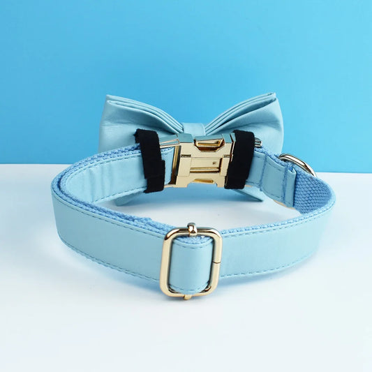 Blue Leather Harness Set