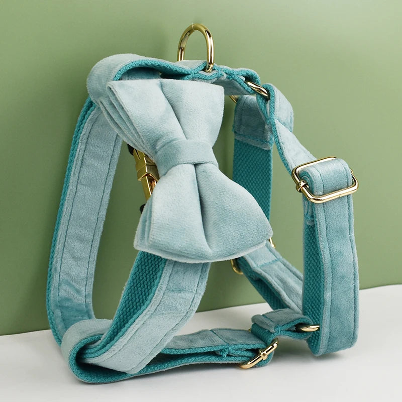 Teal Velvet Dog Collar Set