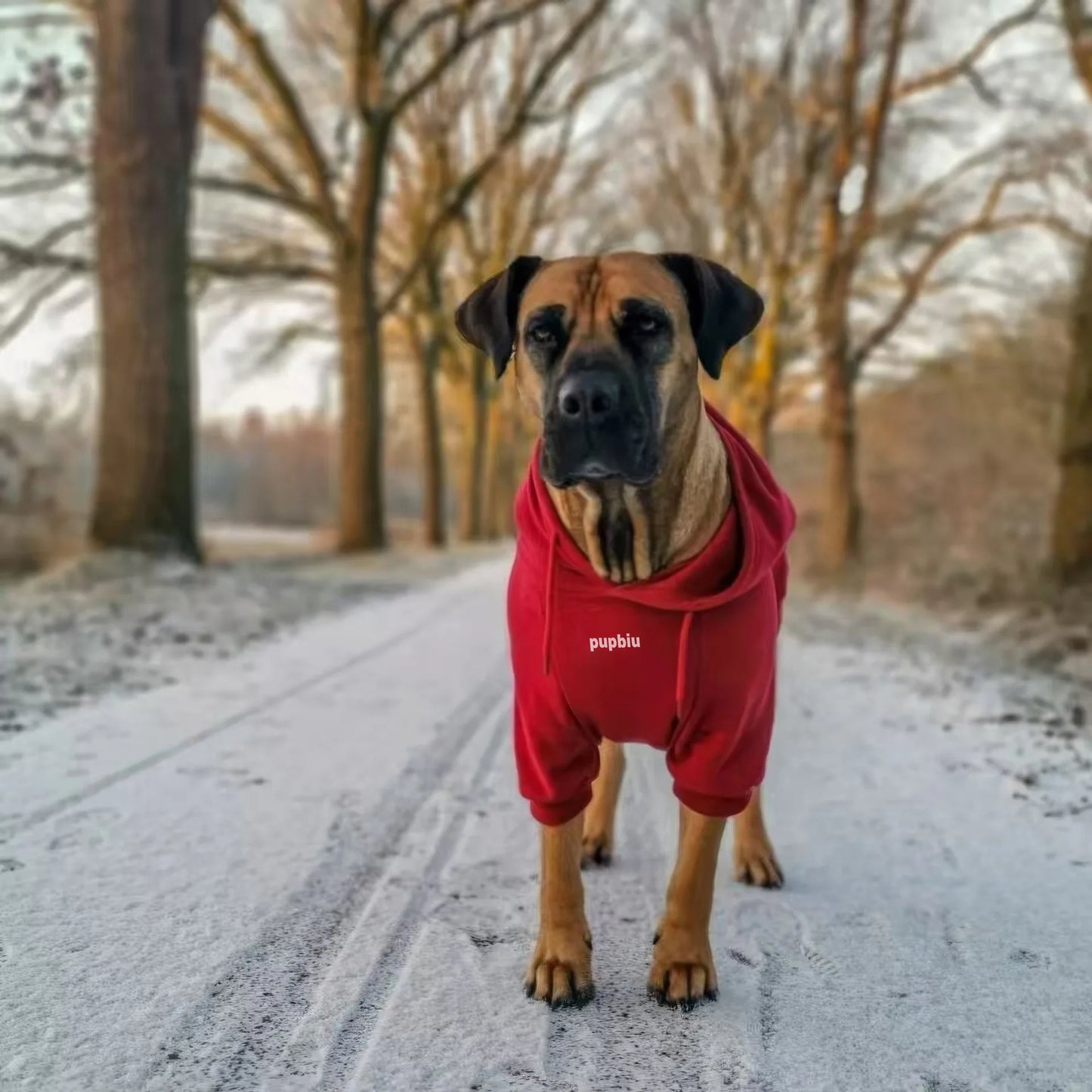 Red Matching Dog & Owner Set