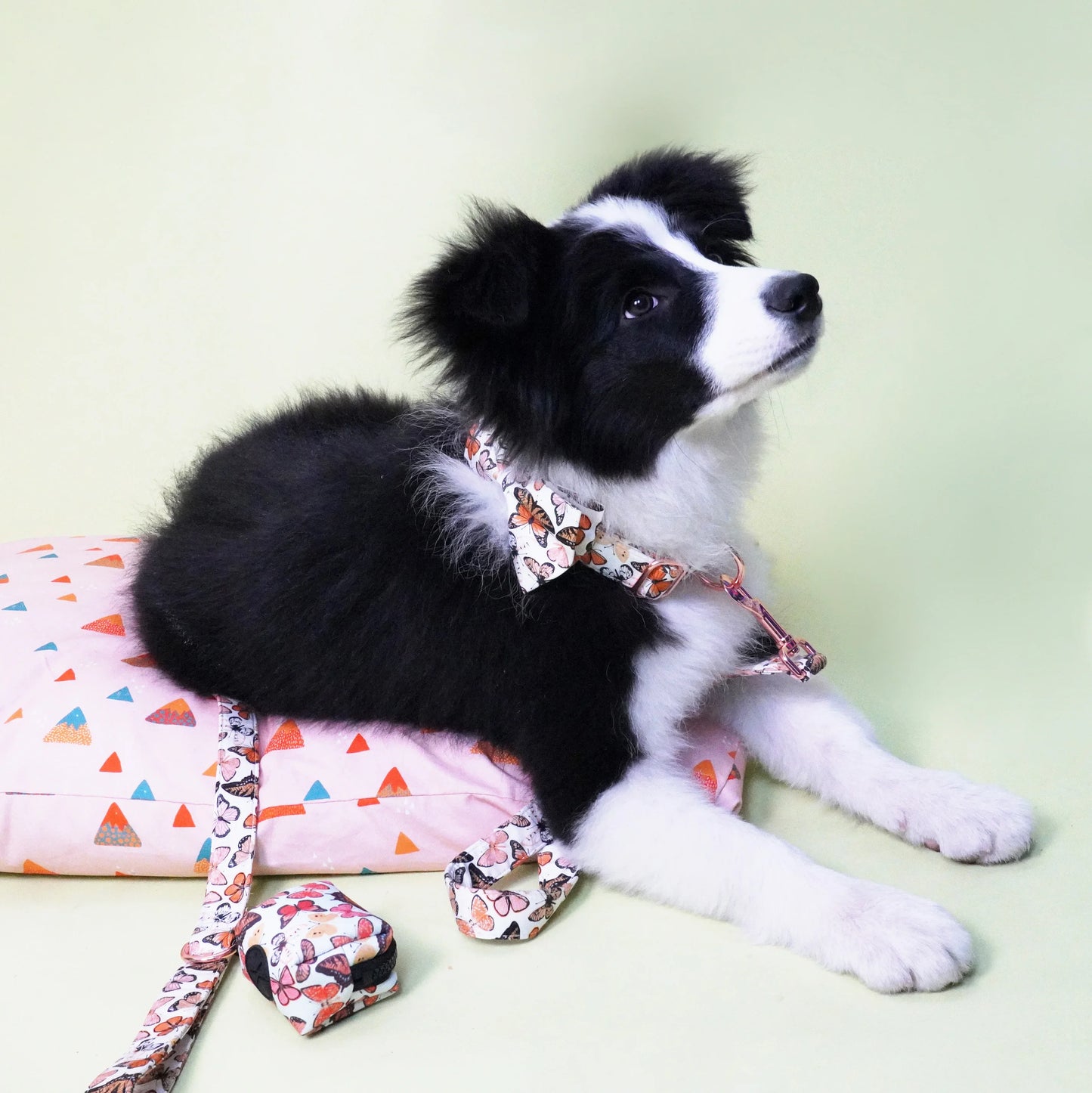 Butterfly Dog Harness Set