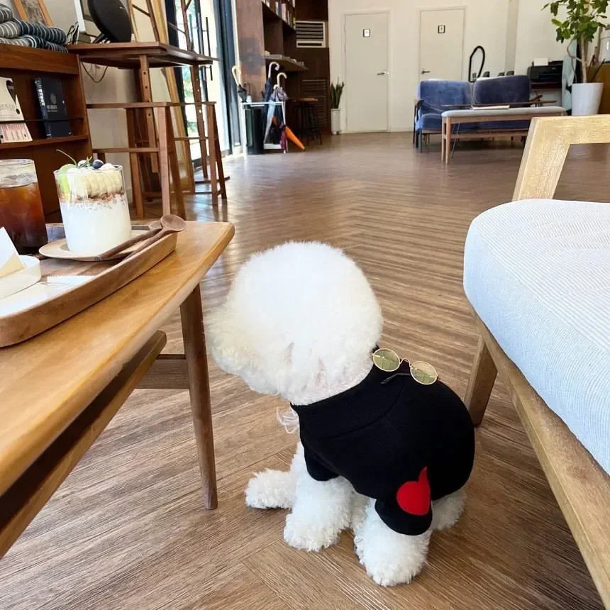 Small Dog Love Jumpers