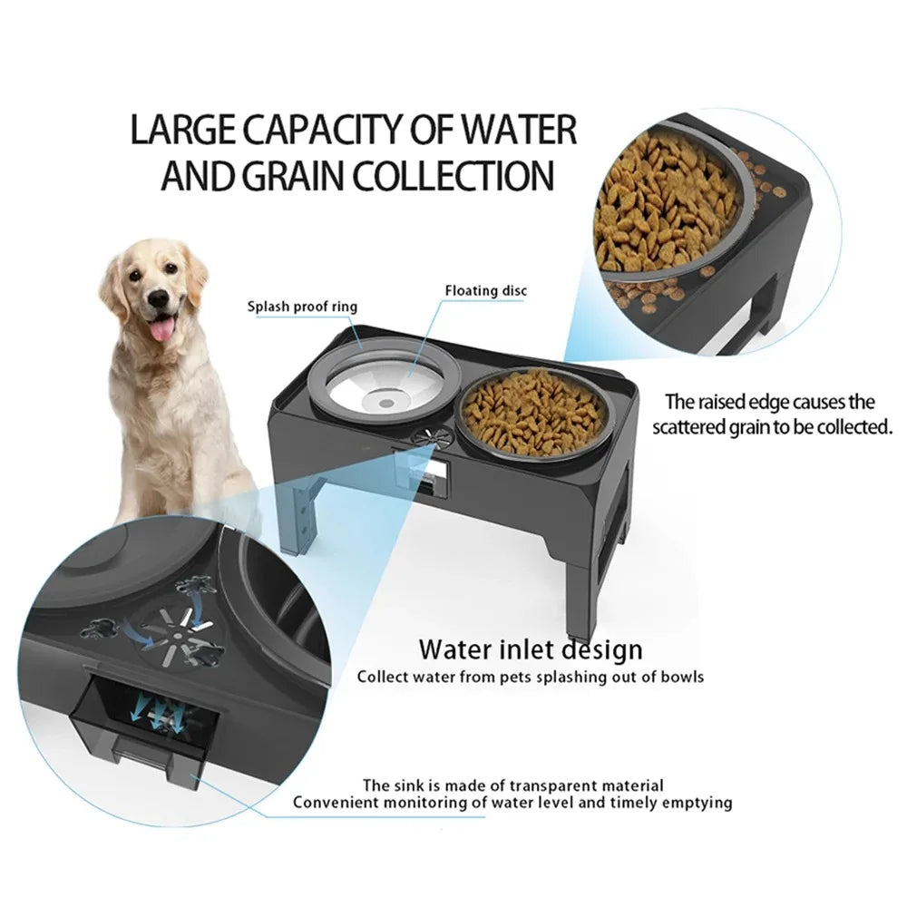 Elevated Slow Dog Bowls