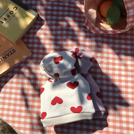 Small Dog's Valentine's Jumpers