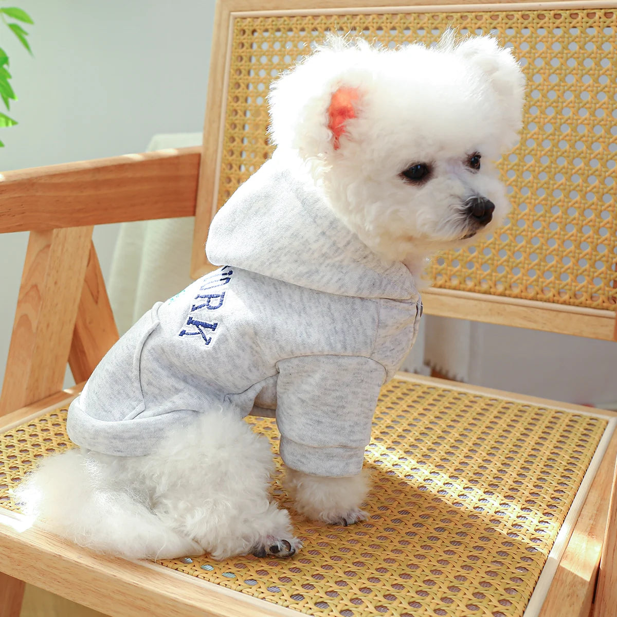 Dog New York Hoodie