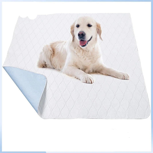 47983574942036|47983574974804|47983575007572|47983575040340