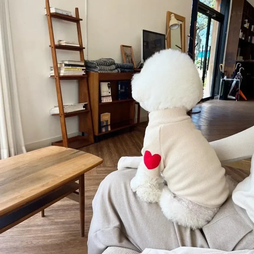 Small Dog Love Jumpers