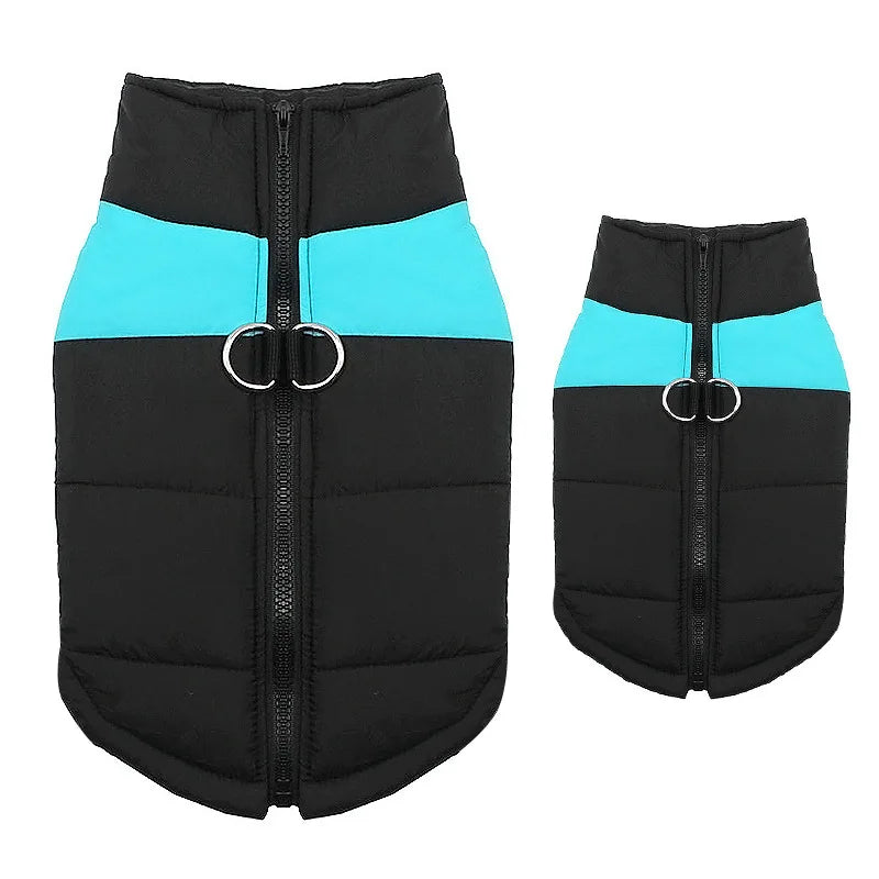 Winter Protection for Dogs