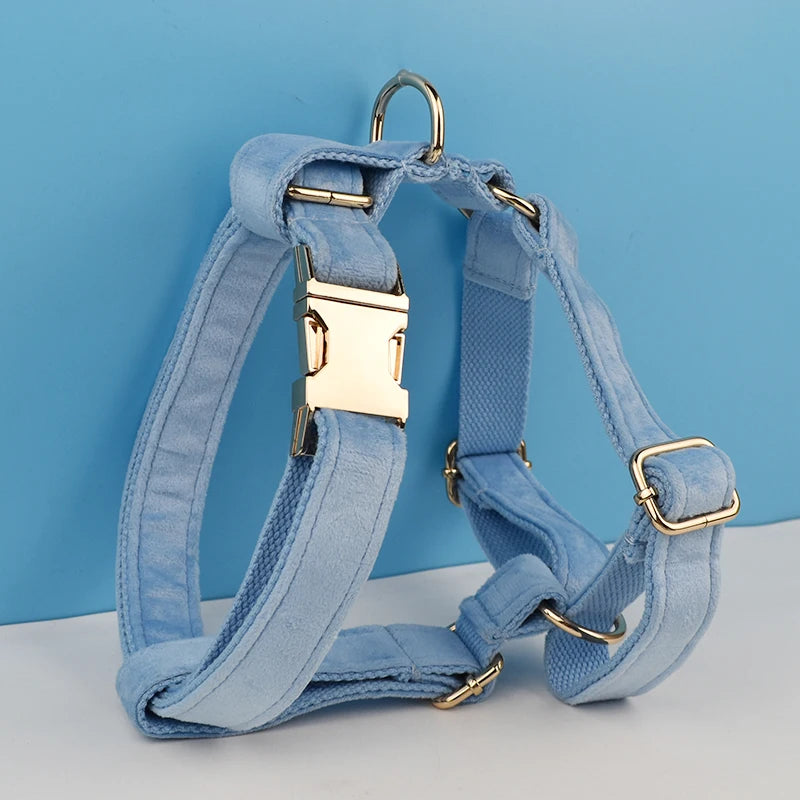 Blue Velvet Dog Collar Set