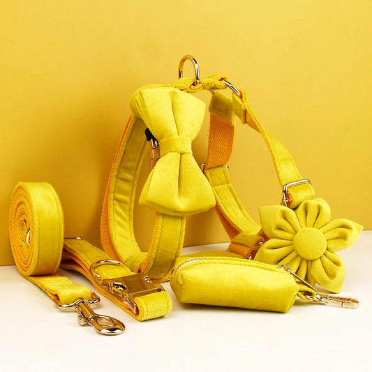 Yellow Velvet Dog Collar Set
