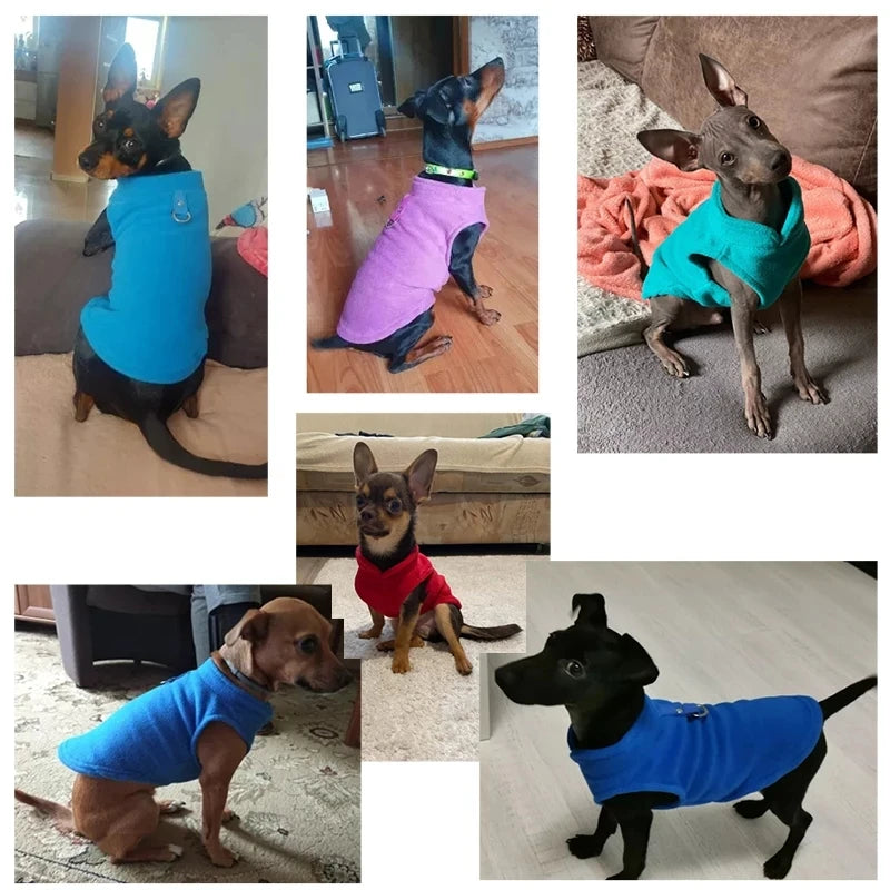 Dog Sleeveless Jumper