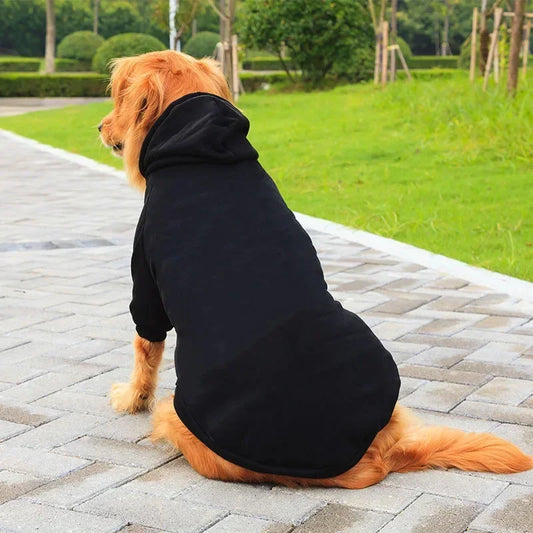 Big Dog Winter Hoodies