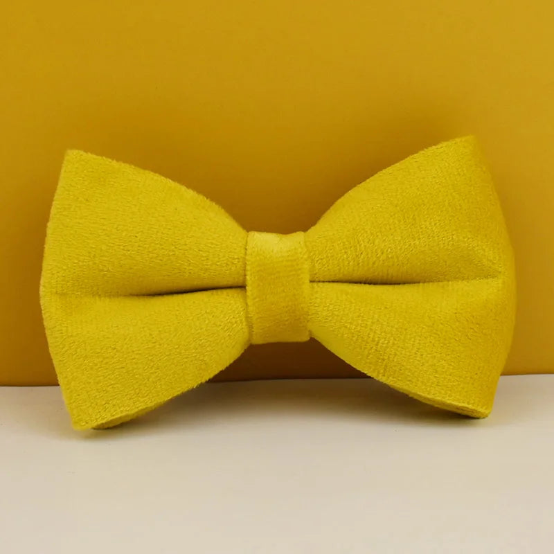 Yellow Velvet Dog Collar Set