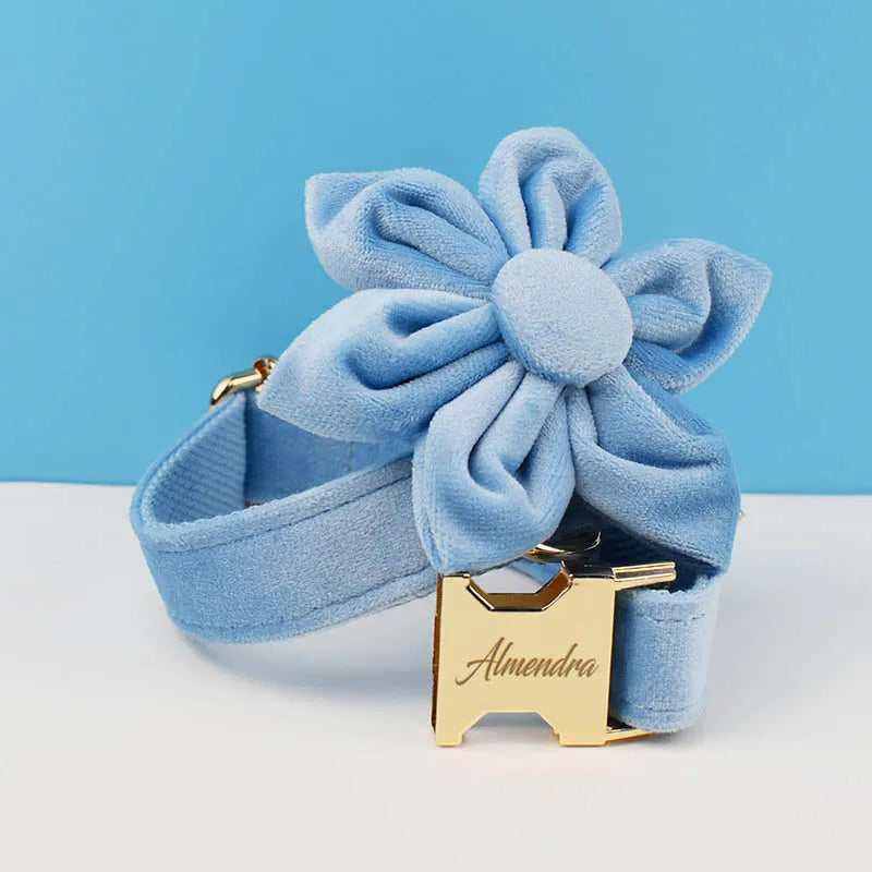 Blue Velvet Dog Collar Set