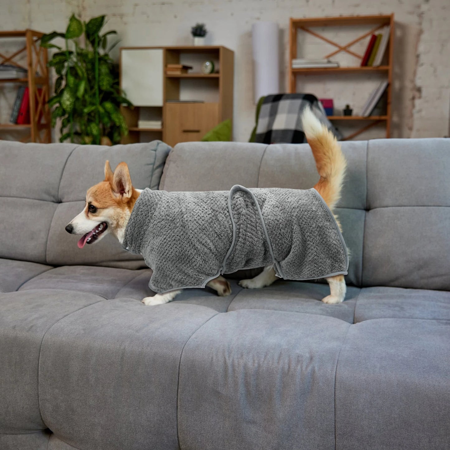 Dog Bathrobe