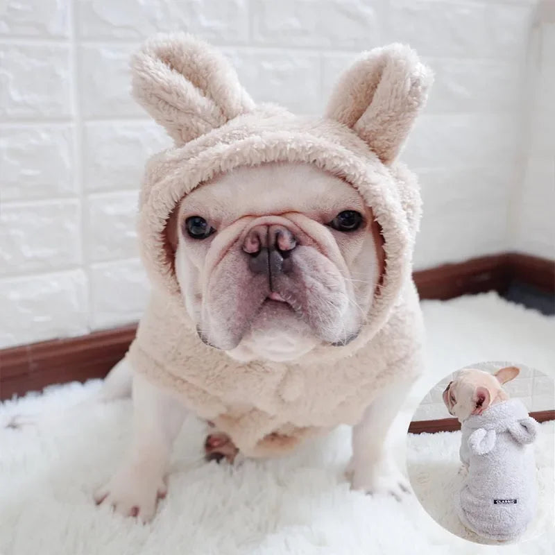 Soft Winter Rabbit Ears Dog Jumper