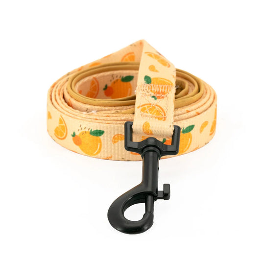 49601701151060|49601701216596|49601701314900|49601701511508