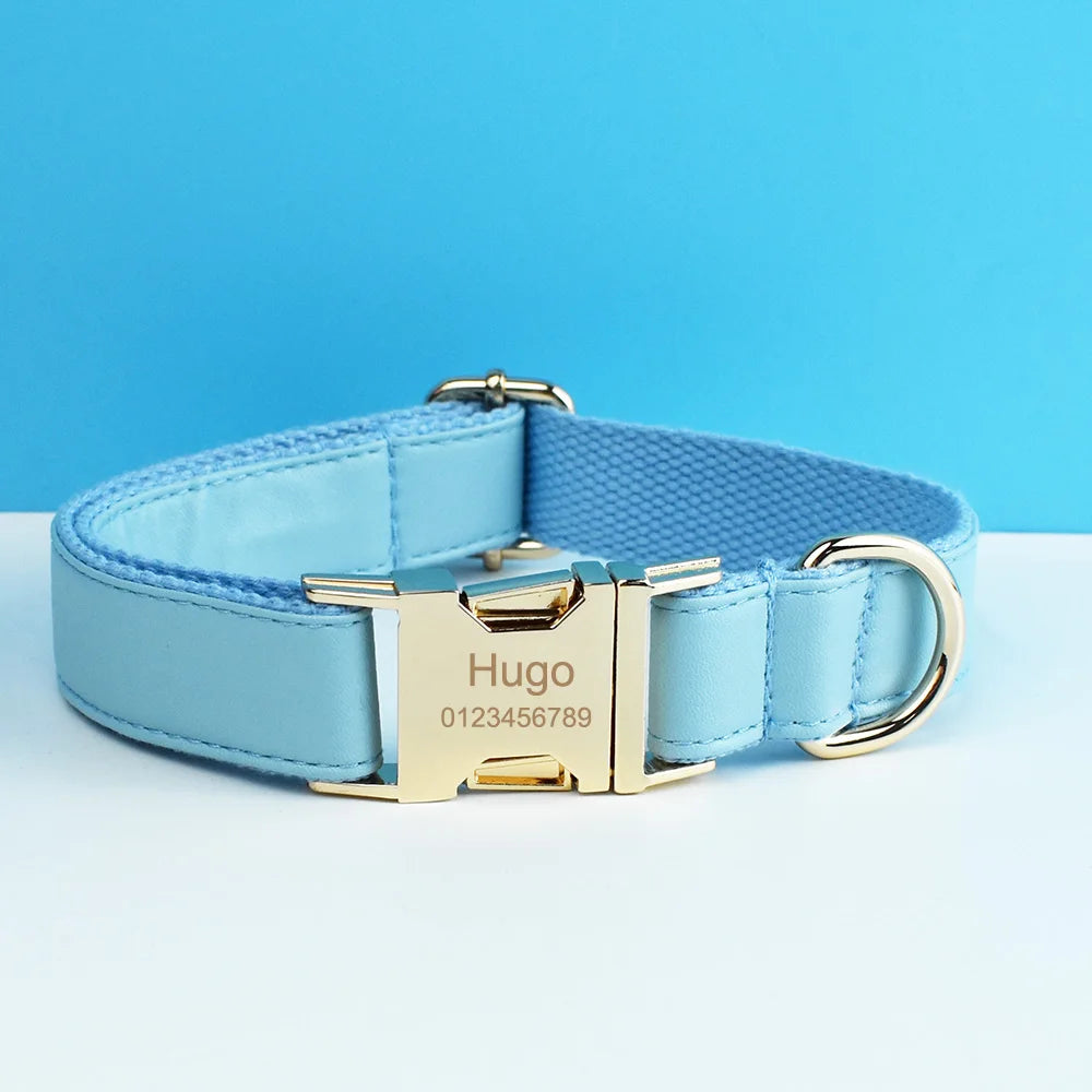 Blue Leather Harness Set