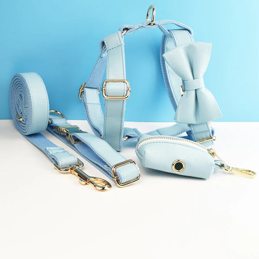 Blue Leather Harness Set