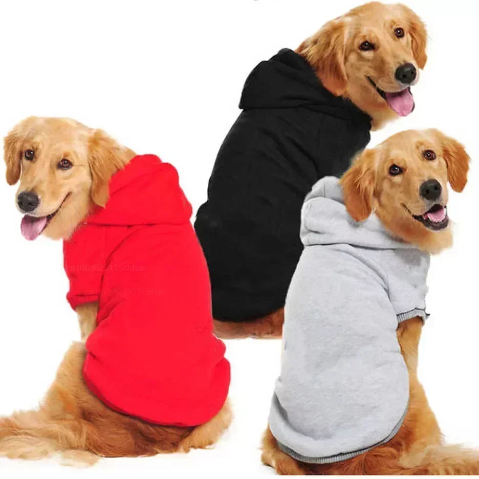 Big Dog Winter Hoodies
