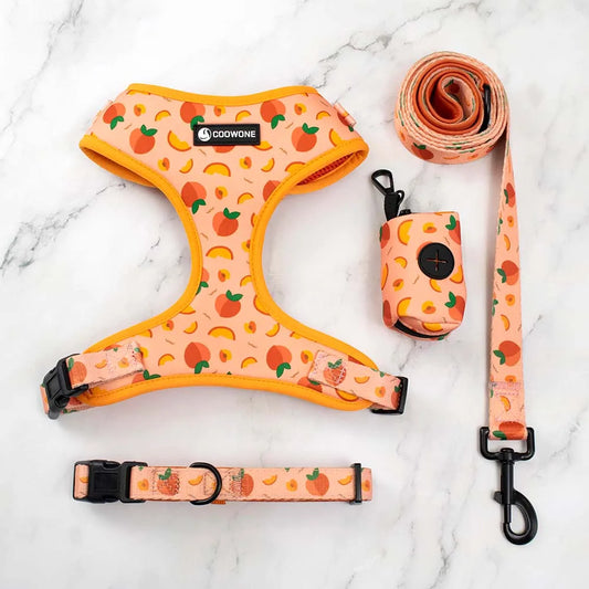 Peach Harness Set