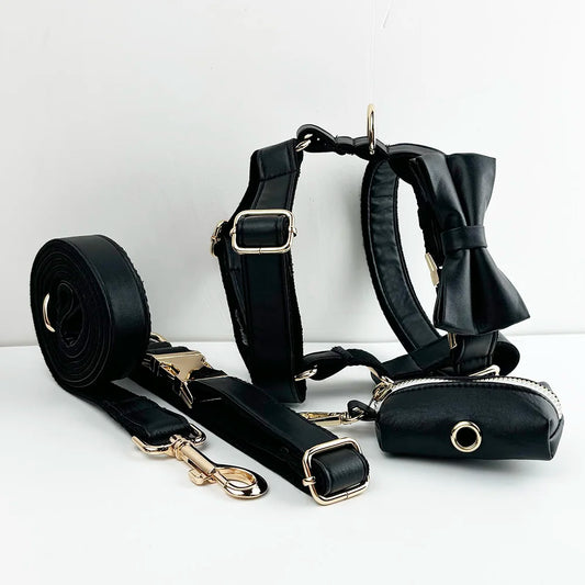 Black Leather Harness Set