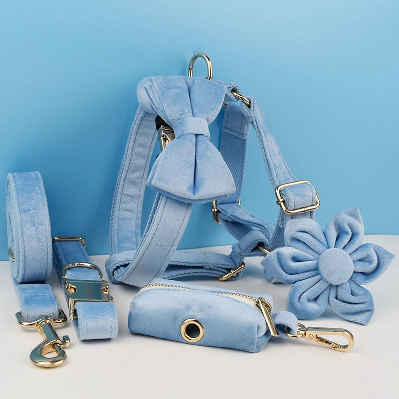 Blue Velvet Dog Collar Set