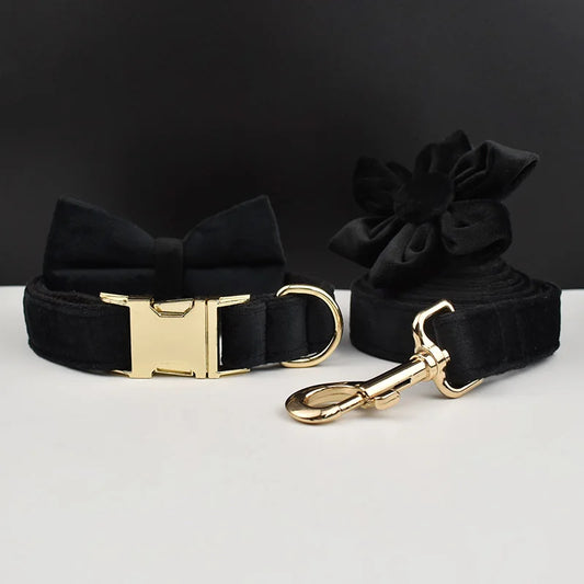 Black Velvet Dog Collar Set