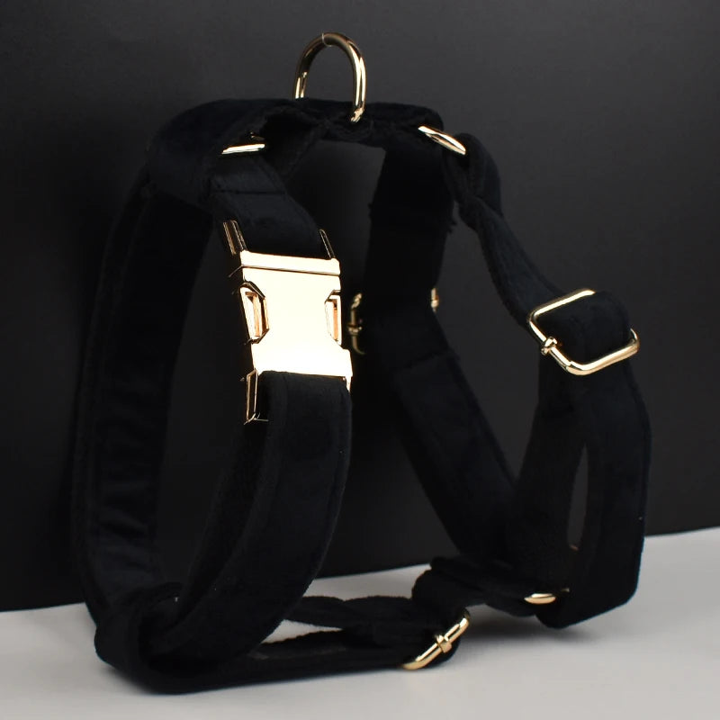 Black Velvet Dog Collar Set