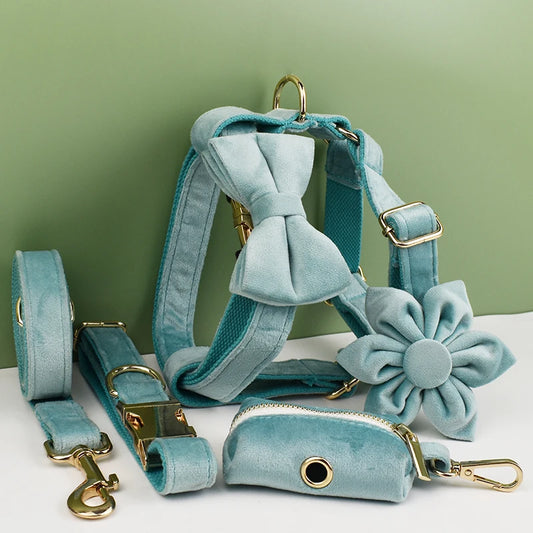 Teal Velvet Dog Collar Set