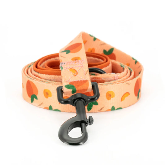 49212991078740|49212991111508|49212991144276|49212991177044