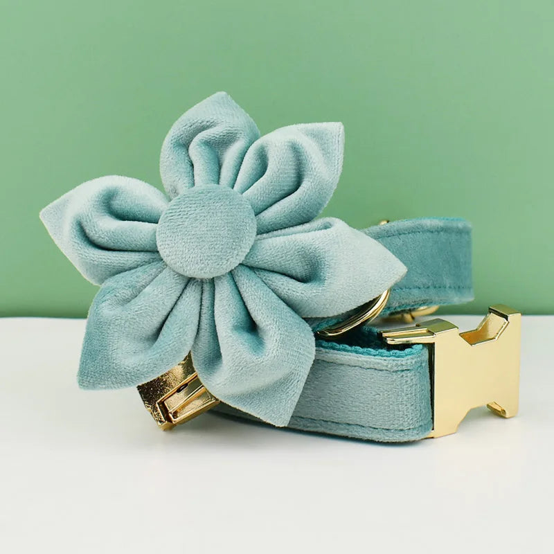 Teal Velvet Dog Collar Set